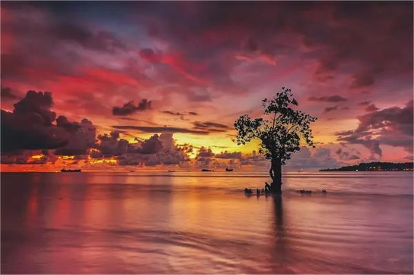 生辰八字查询立子年