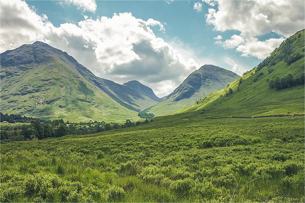 生辰八字一黄历八字算命